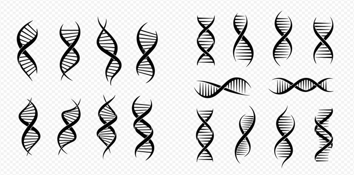 Set of various DNA helix structures in black and white, representing genetics and scientific research.