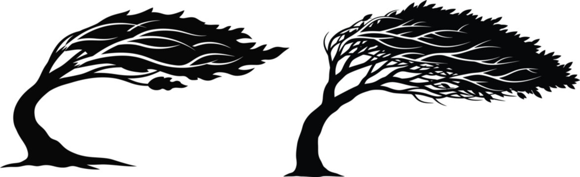 Two trees silhouettes in windy weather