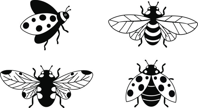 Insect icons featuring ladybugs and bees in black silhouette illustrations