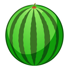 Whole watermelon isolated on white background vector illustration