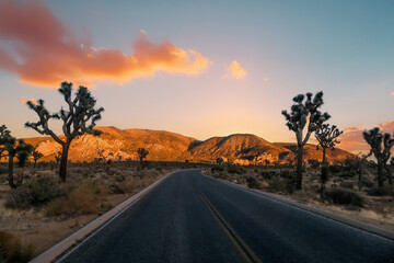 A scenic view of the Joshua Tree National Park during sunset, California, USA © CK
