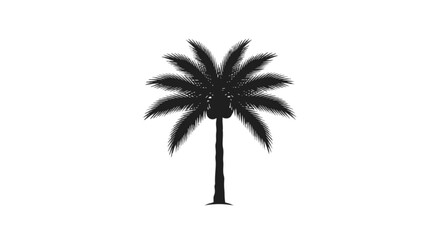 Obraz premium A sleek black silhouette of a palm tree against a plain background isolated on transparent background, Vector