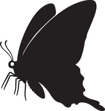 zebra swallowtail butterfly silhouette