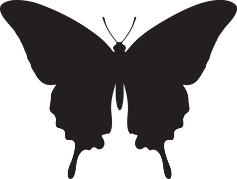 zebra swallowtail butterfly silhouette