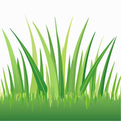 Fototapeta premium Fresh green grass patch isolated on a white background for spring or summer design