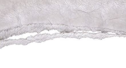 Obraz premium Torn paper edge, white PNG transparent background