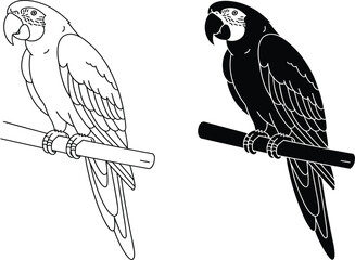 Tropical parrot macaw vector set, featuring detailed line art illustration and solid black silhouette on branch © Majnur