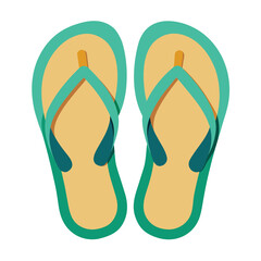 Pair of beach flip flops isolated on white background vector illustration
