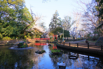 与野公園の弁天池の風景