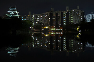 Obraz premium Hiroshima castle