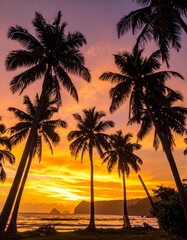 Fototapeta premium Tropische Küste mit Palmensilhouetten im Sonnenuntergang