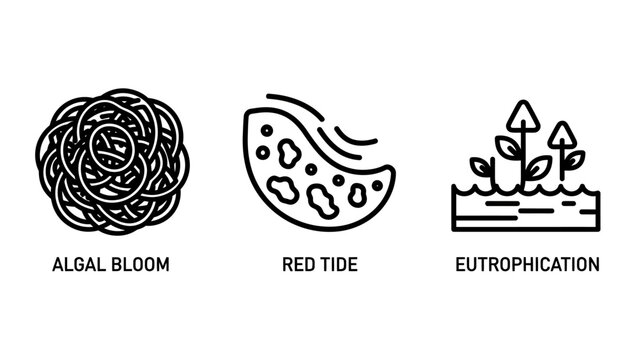 Environmental Aquatic Pollution Icons Depicting Algal Blooms, Red Tides, and Eutrophication in Water Ecosystems and Health