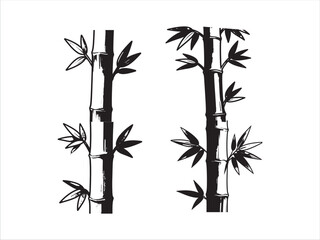 Black and white bamboo plant illustration with leaves isolated design