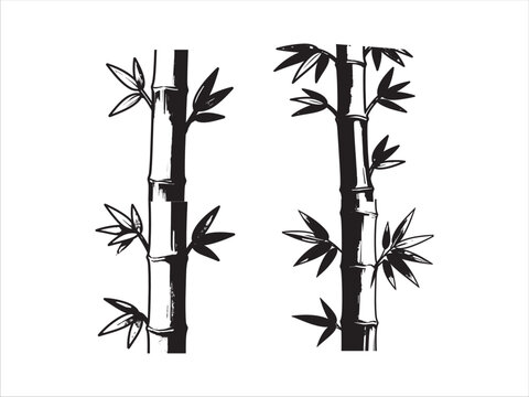 Black and white bamboo plant illustration with leaves isolated design