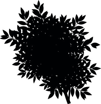 Black Silhouette of Bushy Foliage with Leaves Isolated on White Background