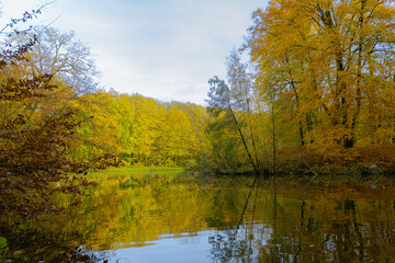 Ein spiegelglatter See im Tiergarten Raesfeld reflektiert das leuchtende Gold und Orange der herbstlichen B&auml;ume unter einem hellen Himmel.