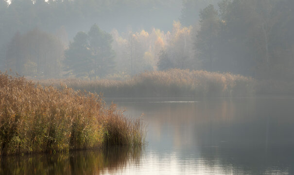Serene Autumn Lake Landscape with Morning Mist and Reeds