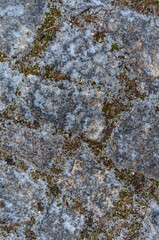 Obraz premium Grey Blue Earthy Brown Textured Abstract Surface Vertical Background - Rough Granular Organic Pattern, Softly Frosted Appearance, Subtle Naturalistic Detail, Ideal for Copy Space