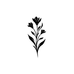 Fototapeta premium A delicate black and white floral illustration against a stark black background