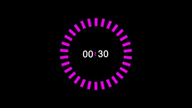 30 second circular countdown timer with purple progress segments