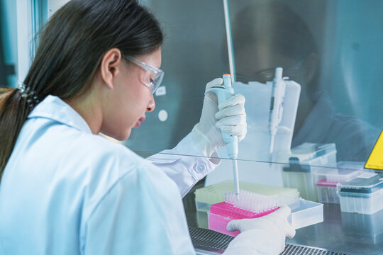 Clinical laboratory technologist performing aseptic sample aliquoting. Biomedical researcher maintaining sterility during cell culture media preparation.