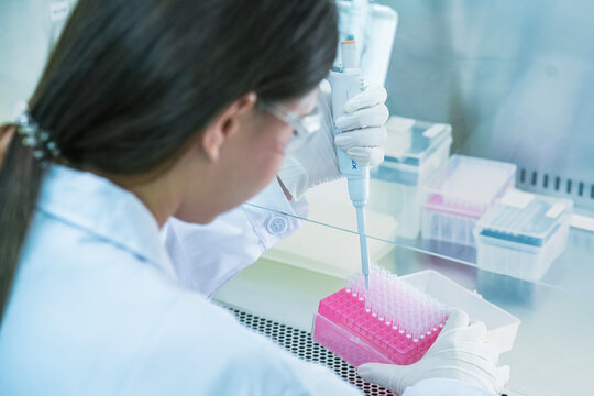 Molecular biologist executing qpcr amplification protocols using micropipette. Genomic researcher preparing dna sequencing samples in sterile biosafety cabinet.