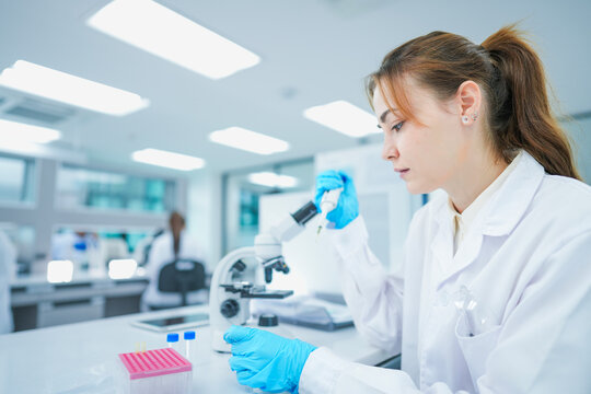 Medical pathologist executing diagnostic blood smear protocol for hematological screening. Clinical laboratory scientist detecting pathogen presence on glass interface.