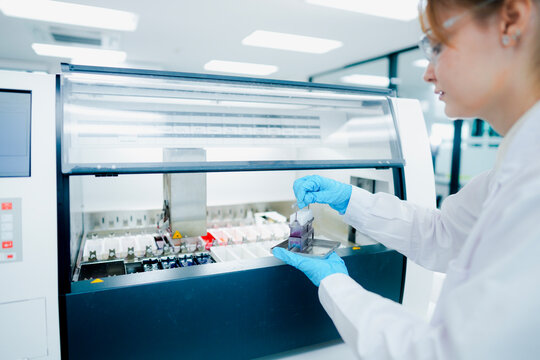 Pathological technician holding biopsy slide rack for quality inspection in clinical lab. Medical scientist preparing tissue sections for microscopic oncological diagnosis.