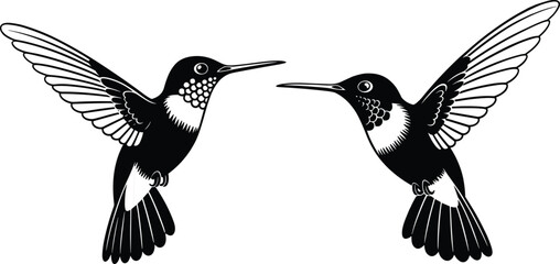 Elegant black and white vector illustration of two hummingbirds in flight with detailed feathers and long beaks isolated on a plain white background © Love's World