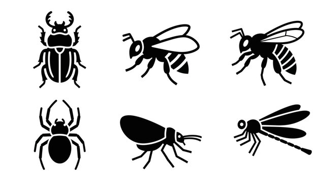 Insect and Bug Silhouettes Set - Beetle, Bee, Spider, Fly, Wasp Vector Icons