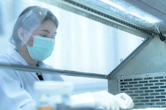 Clinical embryologist manipulating gamete specimens for in vitro fertilization (ivf) procedure. Reproductive scientist examining oocyte quality in sterile laboratory hood.