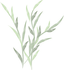 Fototapeta premium Watercolor green leaves and grass, hand-painted botanical illustration, natural foliage, delicate floral artwork, isolated on white background