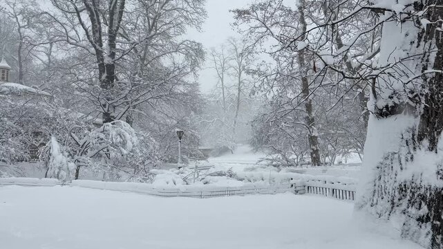 Heavy snowfall in Central Park, NYC.