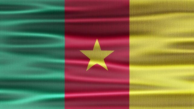 Cameroon flag waving in the wind with high quality fabric texture