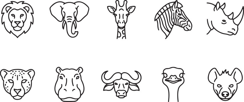 Wild animal faces vector illustration, flat design, safari icons