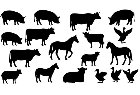 Mixed Farm Animal Silhouette Icons with Standing and Grazing Livestock Vector