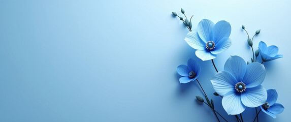 Blue Flowers On A Blank Background