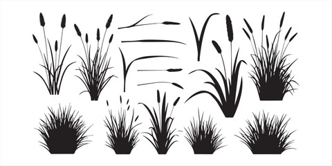 Grass silhouettes collection. A set of silhouette Grass vector illustration © Topu