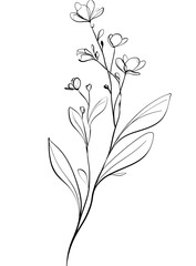 A delicate plant silhouette emerges from a black background, with fine details