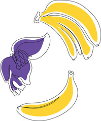 Fototapeta premium Bananas and banana flower in line art isolated on white background