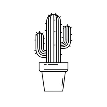 White outline of a cactus in a pot against a black background
