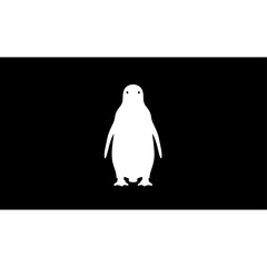Adorable penguin standing front view, cute cartoon character illustration