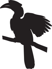 Sitting hornbill on white background. © Sundas