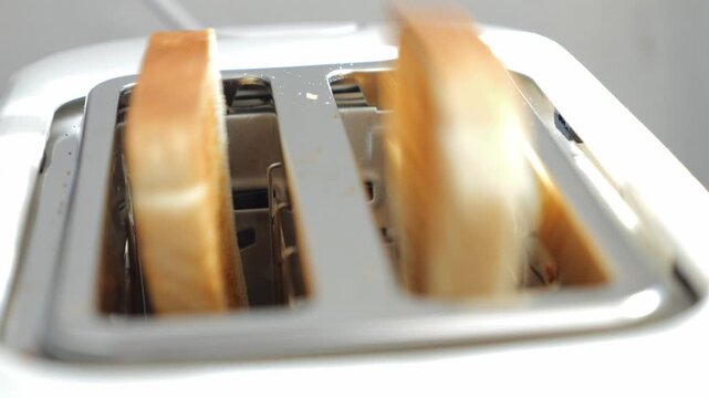 Two freshly toasted slices of bread slowly pop up from an electric toaster after cooking, ready for breakfast on a white background, demonstrating a common morning routine and kitchen appliance