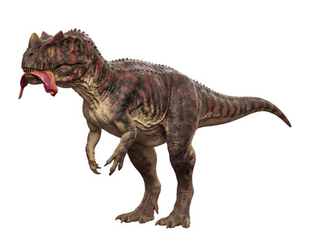 Ceratosaurus nasicornis feeding behavior, carnivorous dinosaur concept, detailed digital illustration isolated on transparent background.