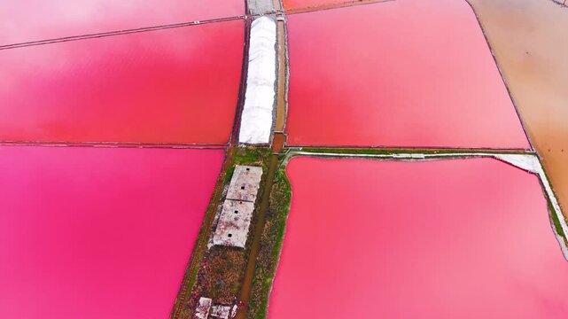 Top down aerial view of pink salt ponds and white salt pile. Ponds with bright pink water separated by paths and a long white salt ridge.