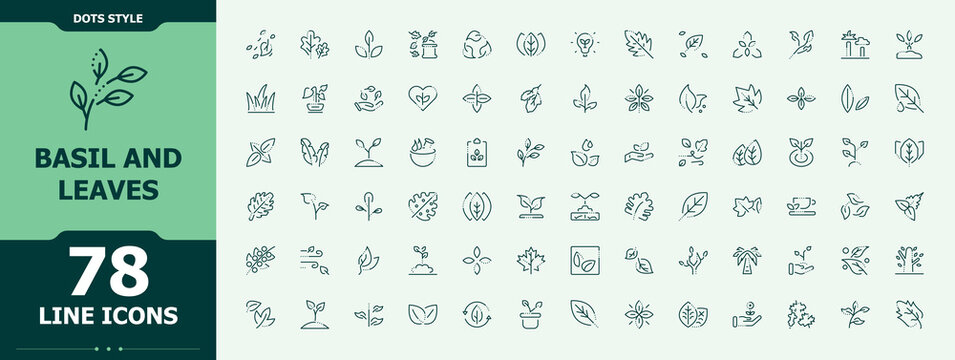 Basil and Leaves icon set. Web icons pack. Contain linear symbols eco, plant, herb, basil, garden, tree, ecology. Editable stroke. Vector collection. Tree icon set.