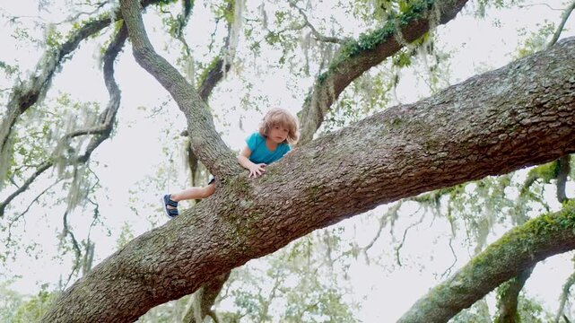 Child climbs a tree with curiosity. A kid explores nature fearlessly. Childhood adventure unfolds on a tree branch. The boy balances carefully on the trunk. Nature becomes a playground for the child.