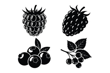 Berry Icons: Raspberry, Blackberry, Blueberry, Cranberry