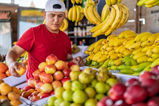 Young man arranging fresh fruit at market stall